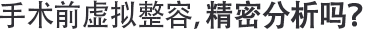 수술 전 가상성형, 정밀분석?