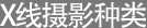 X선 촬영종류