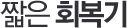 짧은 회복기